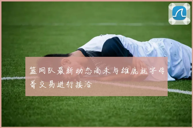 篮网队最新动态尚未与雄鹿就字母哥交易进行接洽