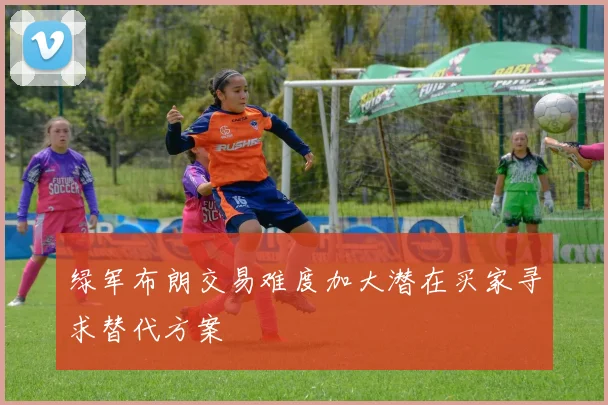 绿军布朗交易难度加大潜在买家寻求替代方案